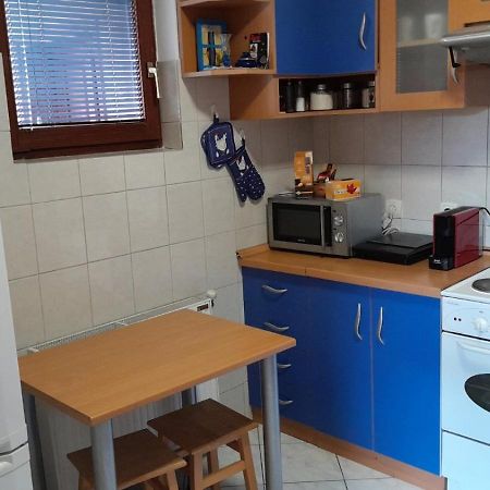 בלגרד Plavi Apartman Airport מראה חיצוני תמונה